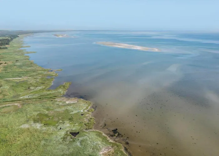 Holiday home 8960-orsted-ternevej-15