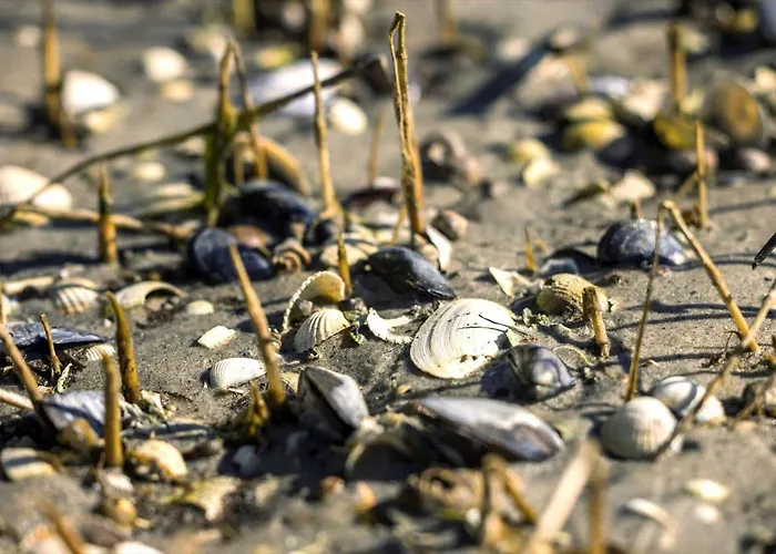 8960-orsted-ternevej-15 Holiday home *